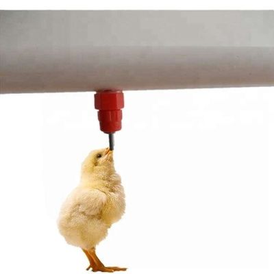 Wholesale poultry farm automatic chicken drinker nipple