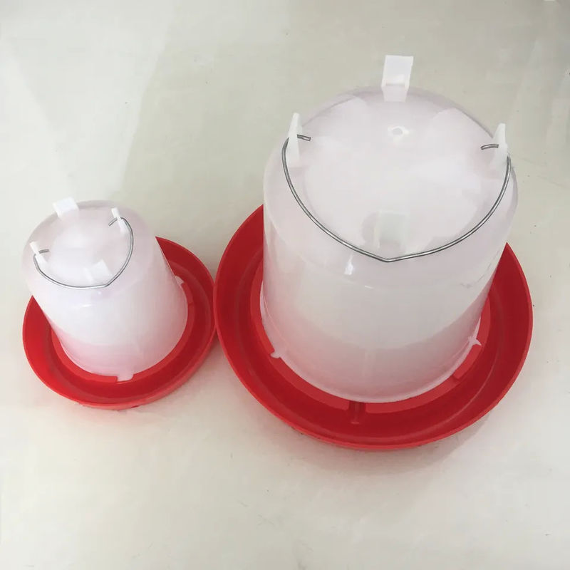 Automatic poultry chicken water for quail birds farm system China price