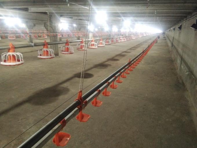 Αυτόματη τροφοδοσία κοτόπουλου Τηγάνι τροφοδοσίας πουλερικών σωλήνων PVC με δοχείο πίεσης 3