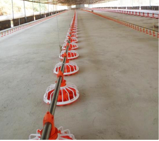 Πλήρως αυτόματο τρυπάνι τροφοδοσίας κοτόπουλου Σύστημα τροφοδοσίας τρυπανιού πουλερικών για φάρμα 0