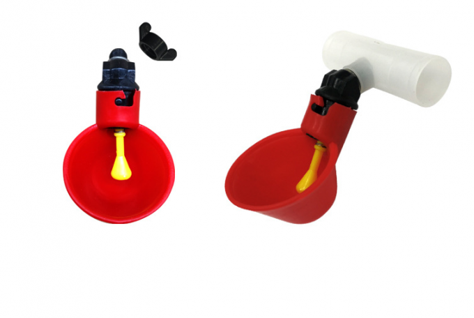 Animal Farm Tools Automatic Chicken Bird Coop Poultry Water Drinking Bowl Πλαστικό Chicken Chick Fowl Nipple Drinker Drinker 5