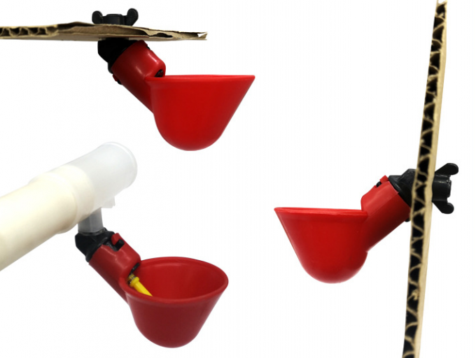 Animal Farm Tools Automatic Chicken Bird Coop Poultry Water Drinking Bowl Πλαστικό Chicken Chick Fowl Nipple Drinker Drinker 7