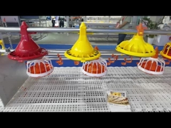 Αυτόματο σύστημα τροφοδοσίας πουλερικών