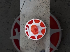 Αυτόματη μηχανή σίτισης για το αγρόκτημα κοτόπουλου, απλή γραμμή σίτισης, πλήρες σύνολο εξοπλισμού σίτισης