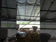 Προσαρμοσμένη αυτόματη τάση εξοπλισμού αγροτικών τροφοδοτών κοτόπουλου διευθετήσιμη