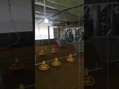 Προσαρμοσμένη αυτόματη τάση εξοπλισμού αγροτικών τροφοδοτών κοτόπουλου διευθετήσιμη