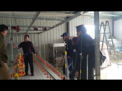 Θηλή Waterer ποτών συστημάτων ποτίσματος πόσιμου νερού παπιών χήνων για την καλλιέργεια αναπαραγωγής πουλερικών πουλιών